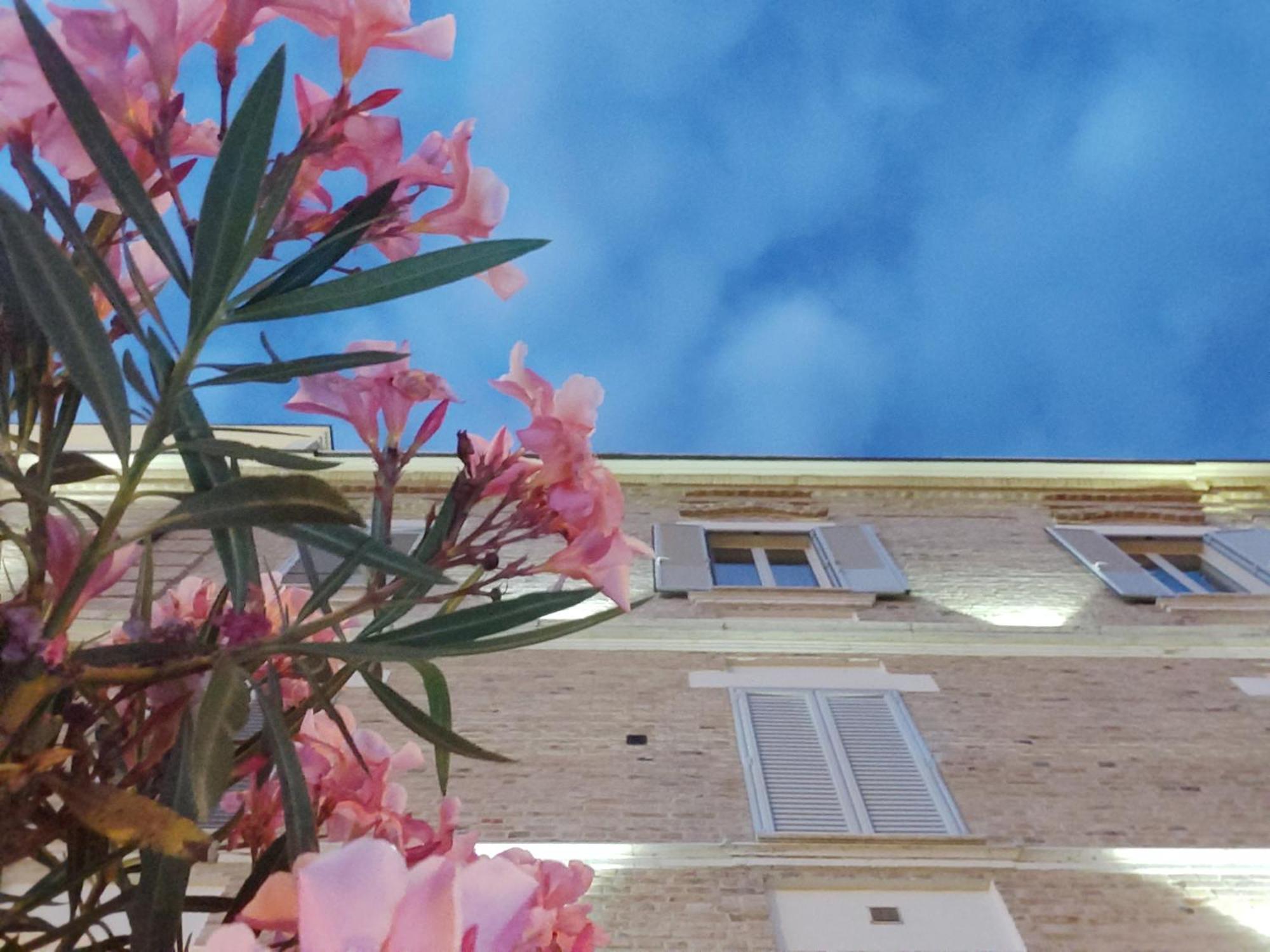 Villa Contessina Cossignano Екстериор снимка