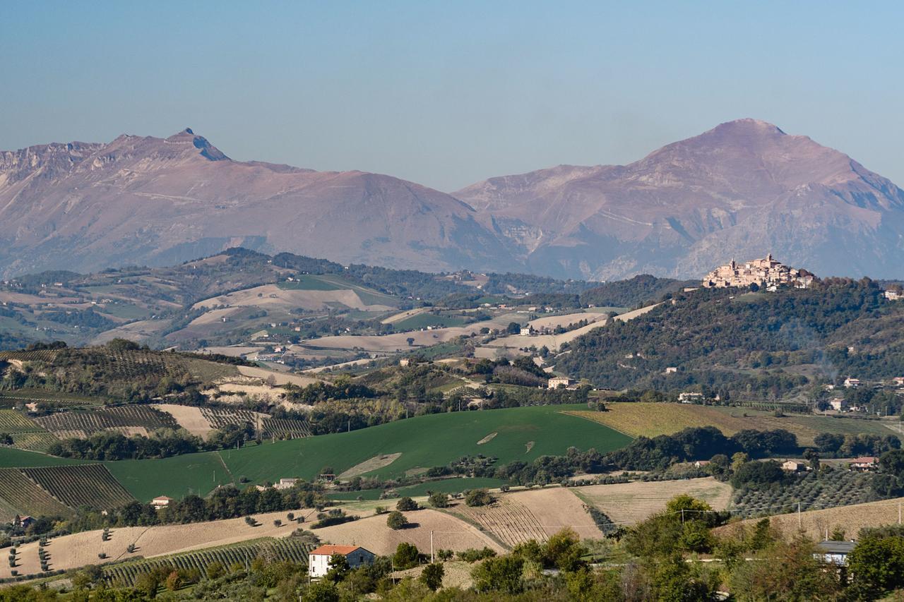 Villa Contessina Cossignano Екстериор снимка